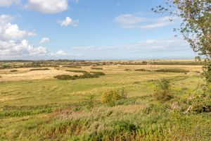 Photo 1- click for photo gallery